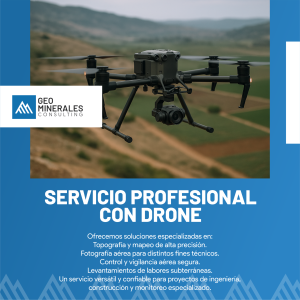 Servicio Profesional con Drone